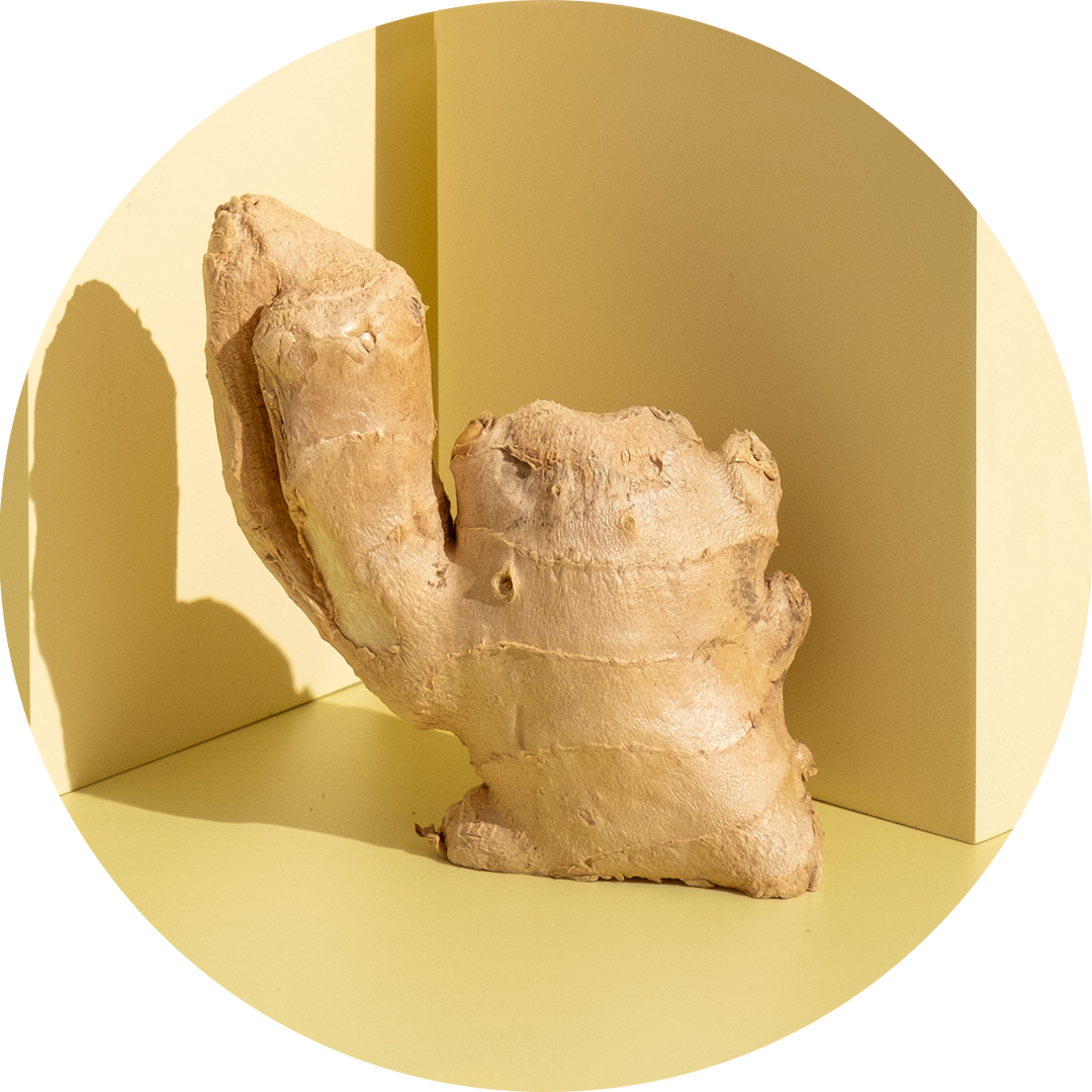 bellie prebiotic herbal tea ginger