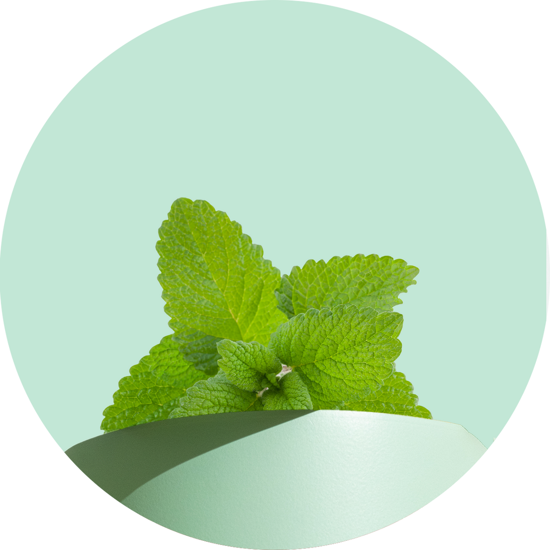 bellie prebiotic herbal tea peppermint